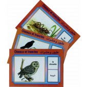 Cartes éducatives bilingues (arabe/français): Les oiseaux et insectes